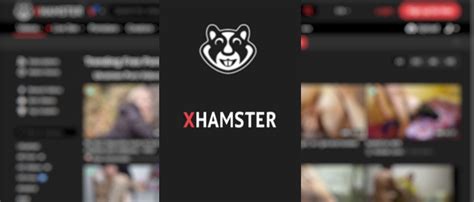 Best Sites like XHamster